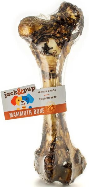 Jack and Pup Mammoth Femur Bone Dog Treat， 1 count