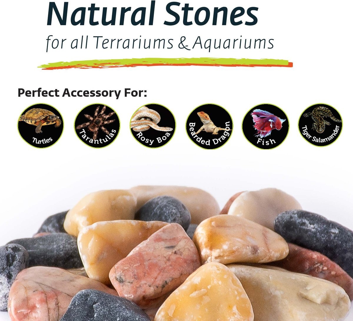 Galapagos Natural Terrarium Stones， 4-lb bag