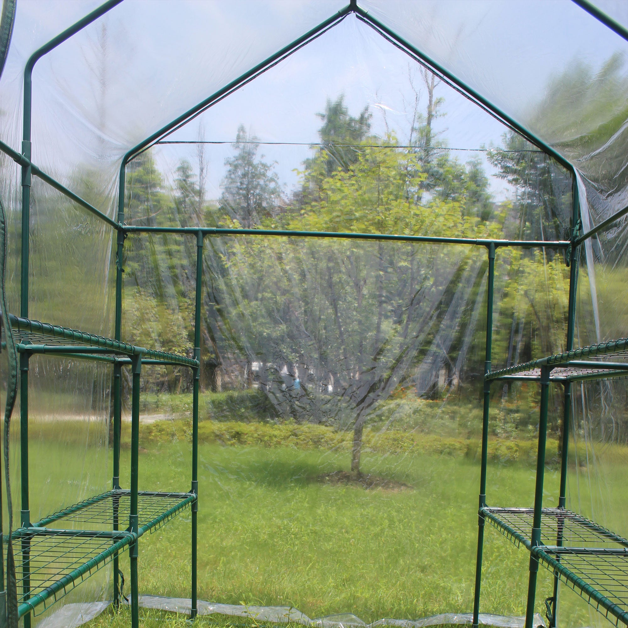 Unique Choice 56 x 56 inches Walk-in Greenhouse With Shelves, Transparent Cover