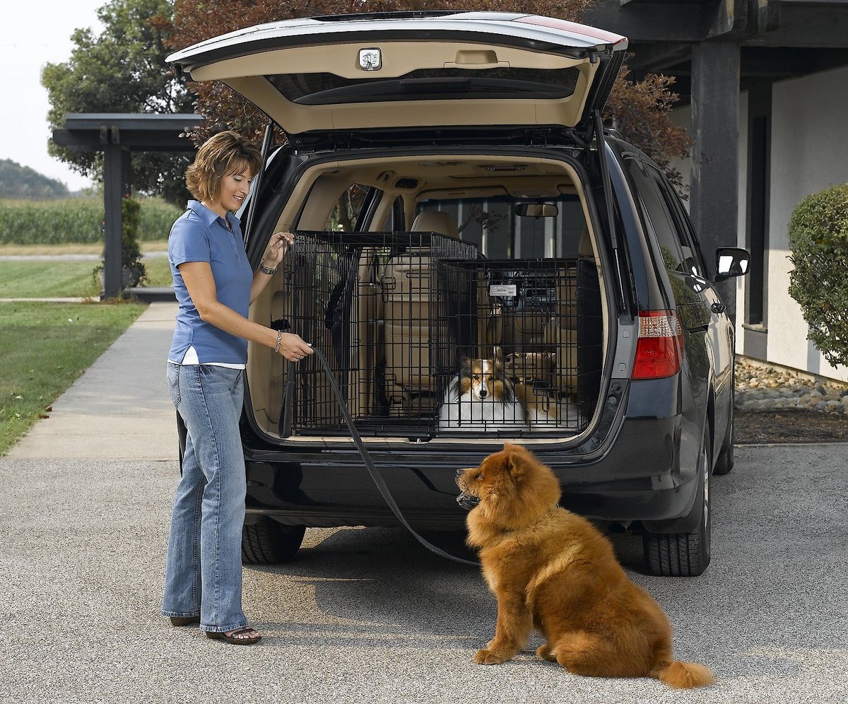 MidWest Solutions Series Side by Side Double Door Collapsible SUV Dog Crate