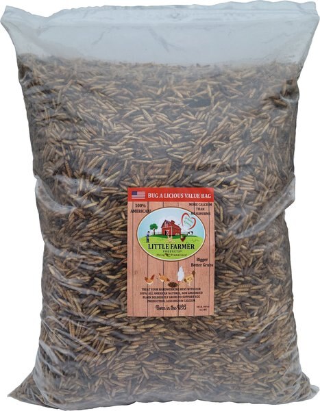 Little Farmer Products Value Grub Bulk Dried Black Soldier Fly Grubs Chicken Treats， 10-lb bag