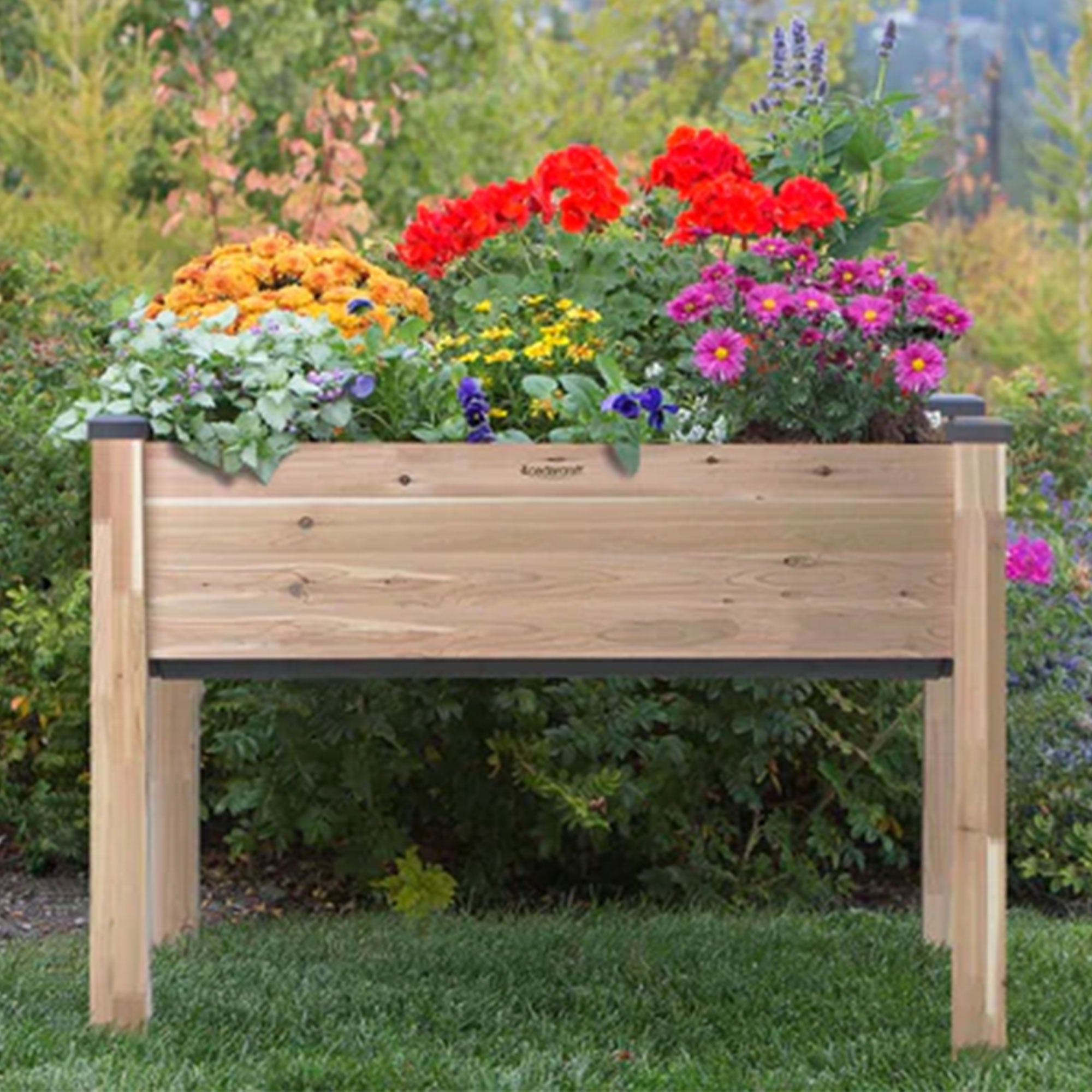 CedarCraft Self-Watering Elevated Cedar Garden Planter w/ Greenhouse Cover