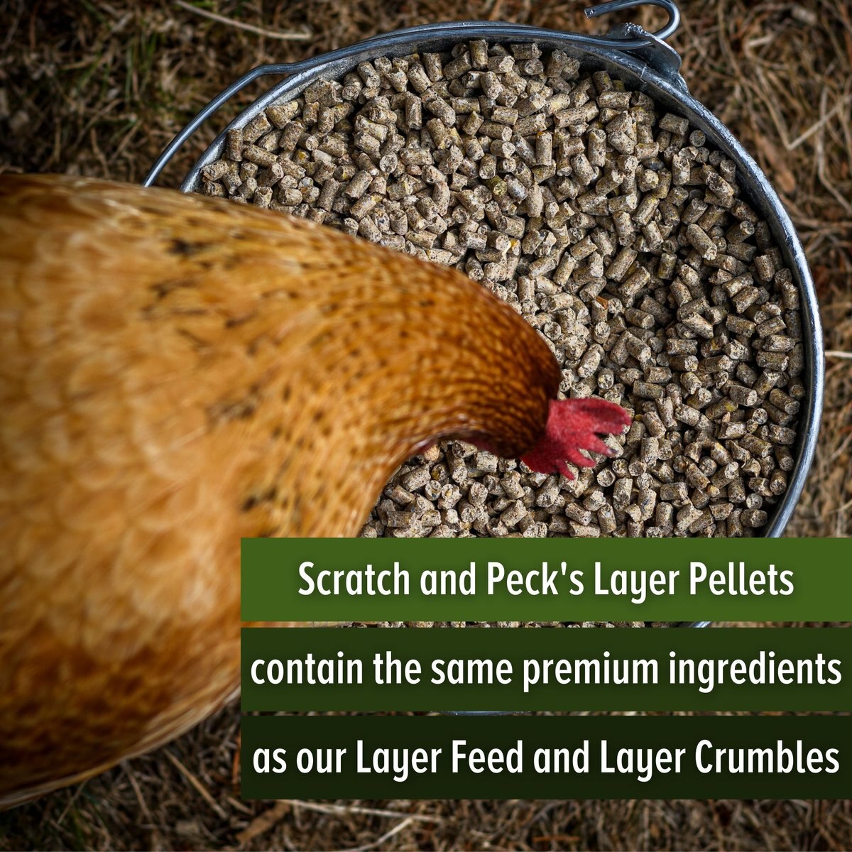 Scratch and Peck Feeds Organic Layer 16% Pellets Chicken Food