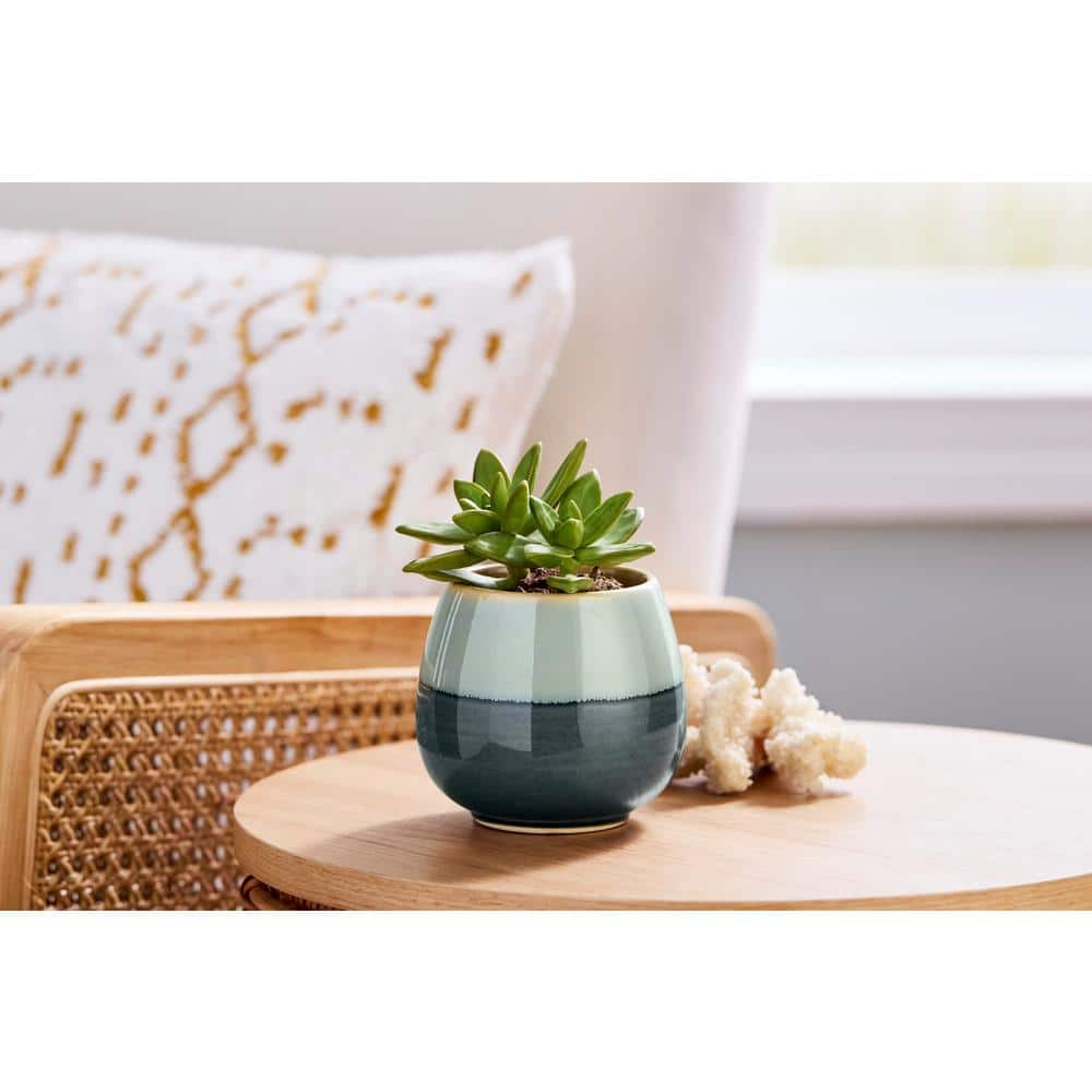 Vigoro 3.5 in. Demi Small TealMulti-color Ceramic Pot (3.5 in. D x 3.5 in. H) With Drainage Hole CRM-094234