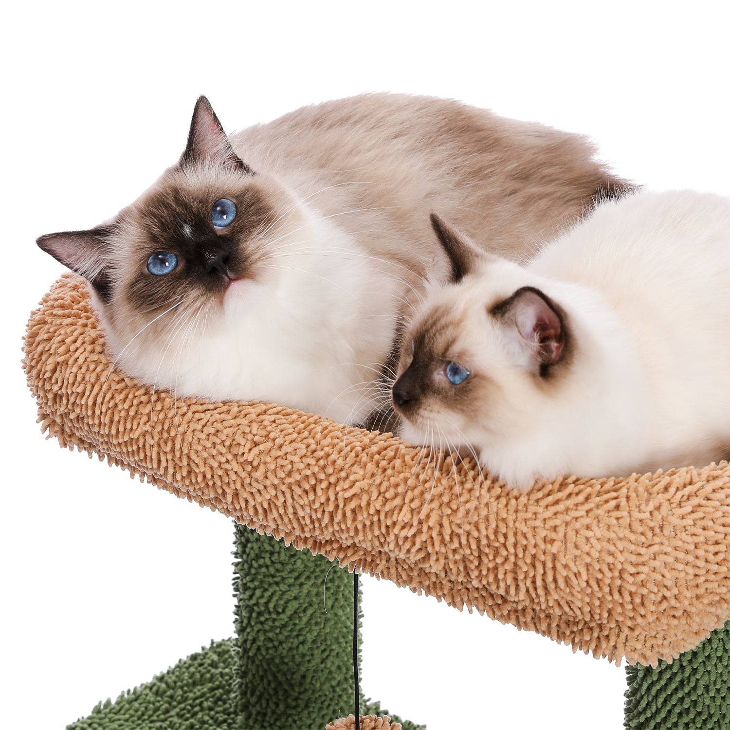 Cat Tree 41 Inches Cactus Cat Tower with Sisal Covered Scratching Post and Cozy Condo for Indoor Cats, Cat Climbing Stand with Plush Perch &Soft Hammock for Multi-Level Cat Play House