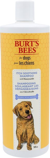 Burt's Bees Itch Soothing Shampoo with Honeysuckle for Dogs