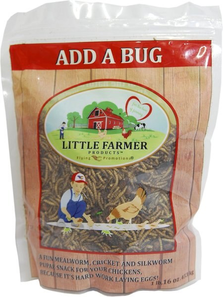 Little Farmer Products Add A Bug Chicken Treats