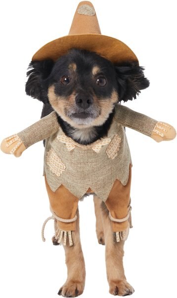 Frisco Front Walking Scarecrow Dog and Cat Costume