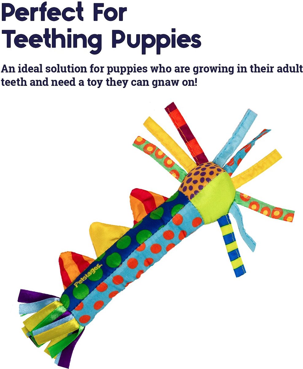 Petstages Cool Teething Stick Tough Dog Chew Toy