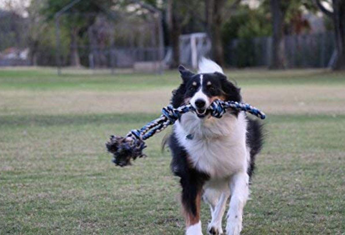 Pacific Pups Products 4 Pack XL Stress Relieving Rope Dog Toys and Dog Ball， Perfect for Large Breed Dogs