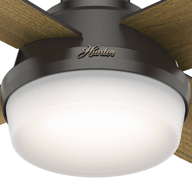 Dempsey Low Profile Ceiling Fan With Remote includes Led Light Bulb Hunter Fan