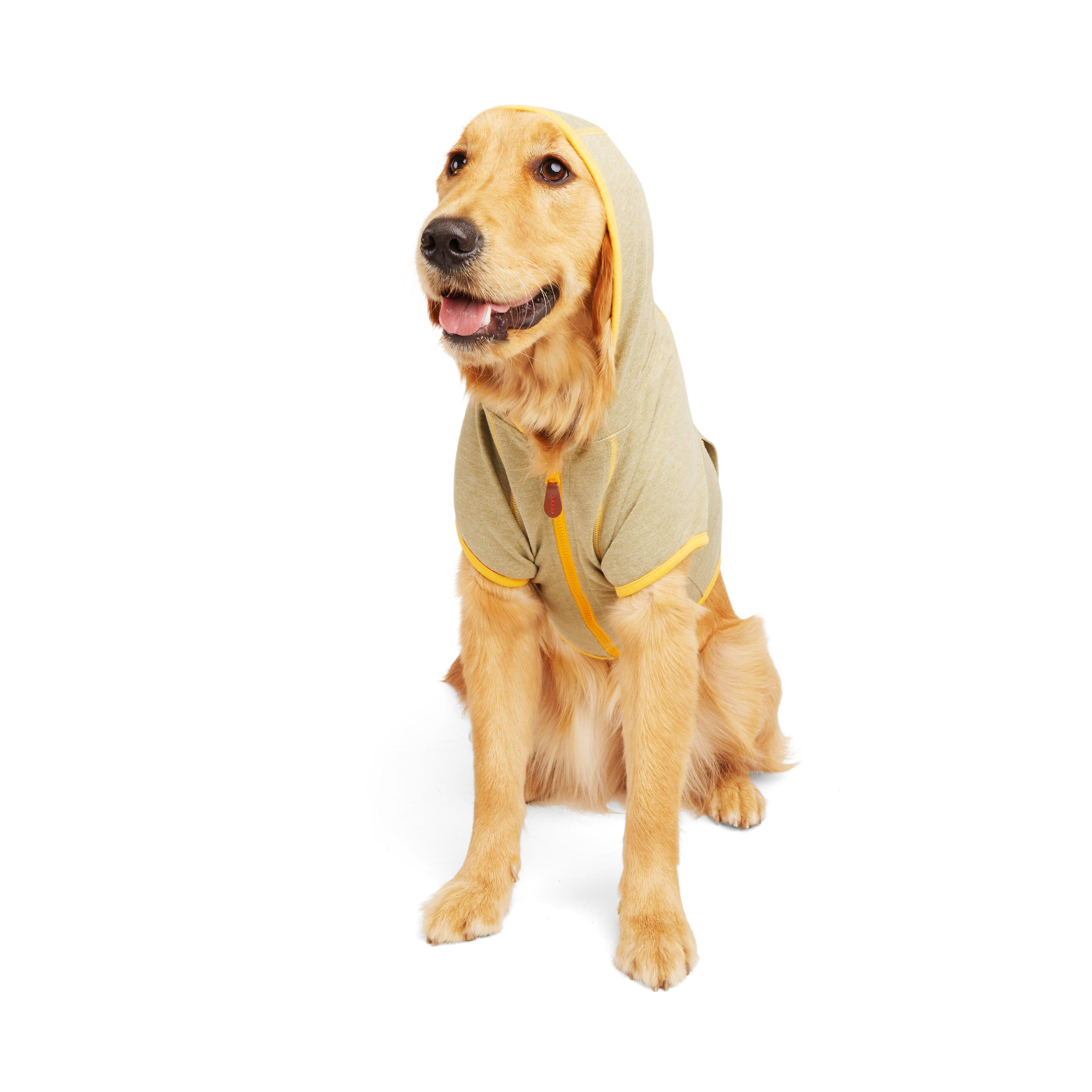 Reddy Brown and Yellow Zip Dog Hoodie， 3X-Large