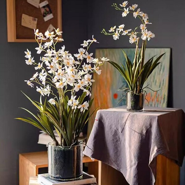 RusticReach White Hui Lan Orchid in Glass Pot