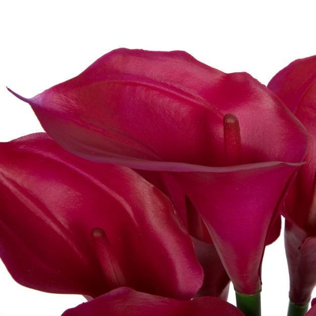 Purple Calla Lillies In Glass Vase.