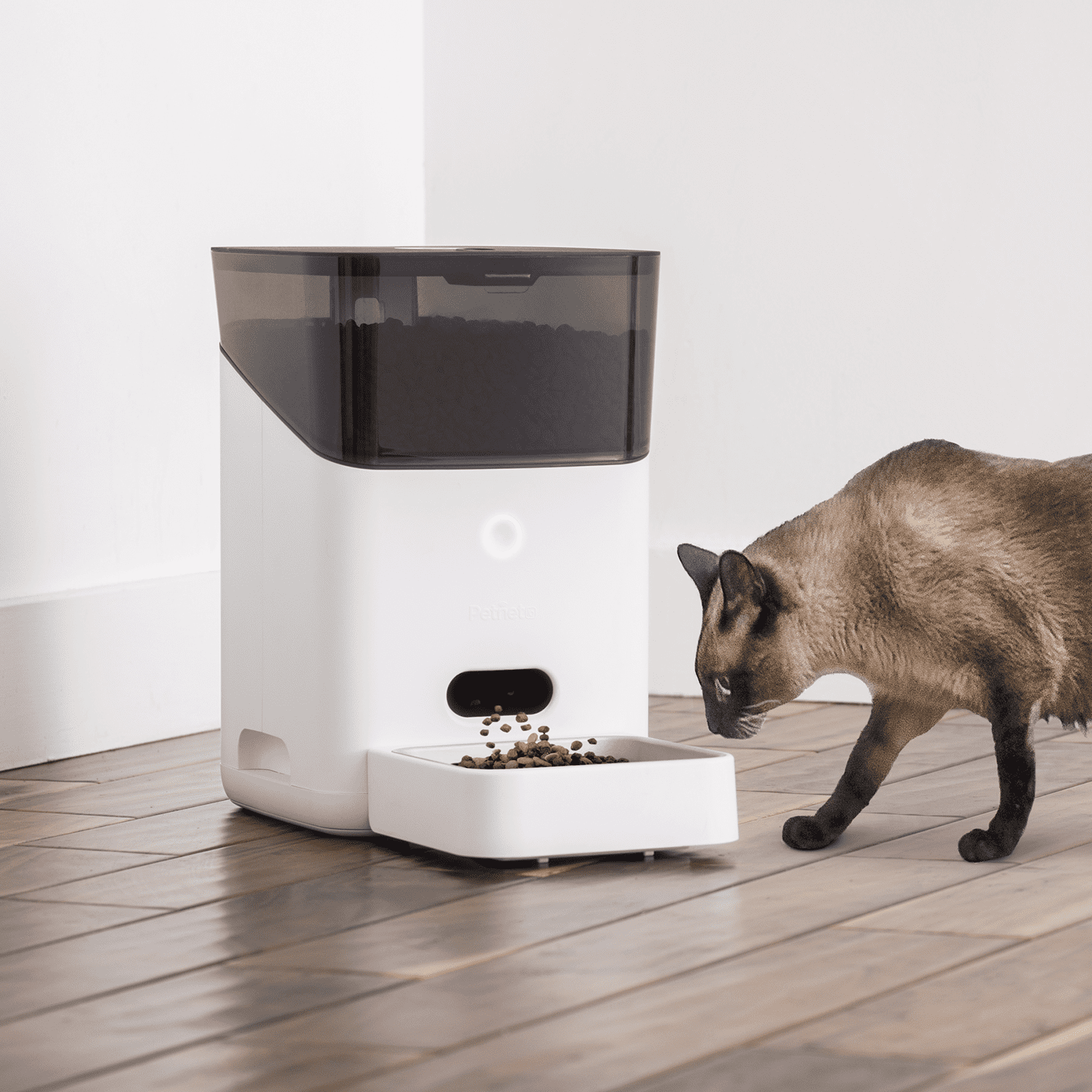 Petnet SmartFeeder (2nd generation) Automatic Wi-Fi Pet Feeder with Personalized Portions for Cats and Dogs