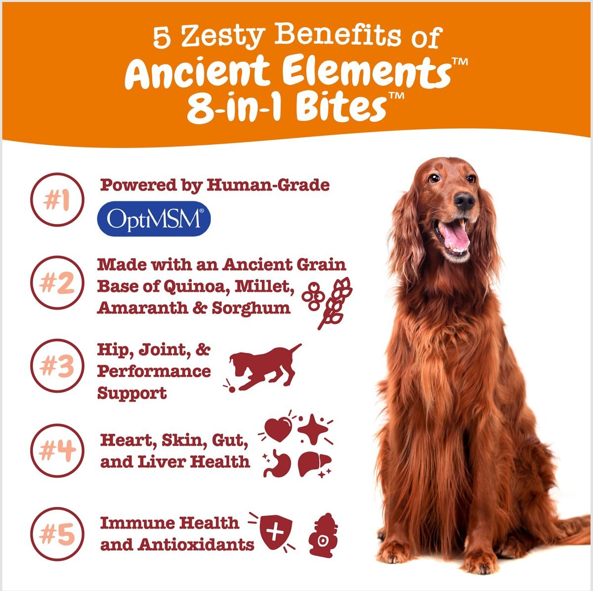 Zesty Paws Ancient Elements 8-in-1 Bites Bison Flavored Soft Chews Multivitamin for Dogs