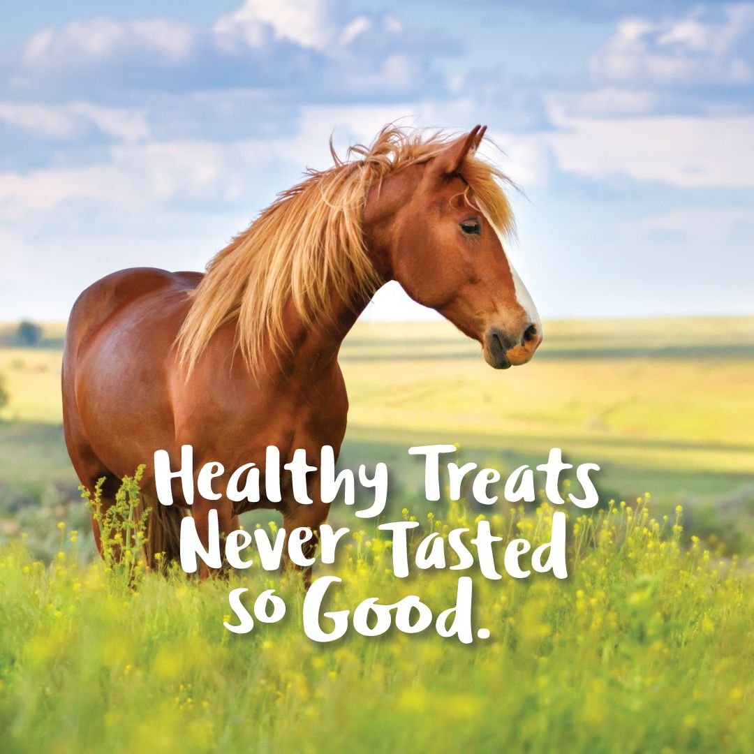 NutriGood FruitSnax BerryMint + Oats Flavor Horse Treat， 2-lb bag