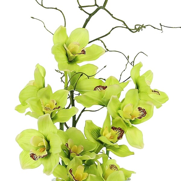 Green Orchids and Vine in Glass Vase with Rocks and Acrylic Water