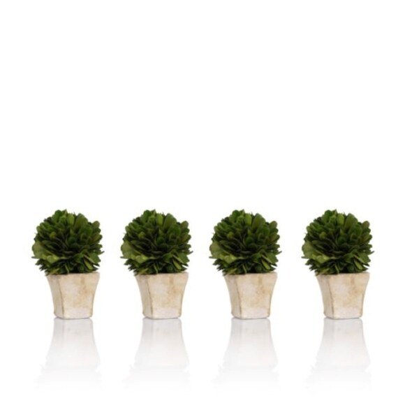 4 Tall Preserved Boxwood Topiary，Single Ball (Set of 4)