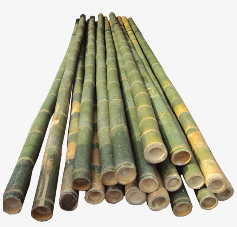 SUPPLYING OF BEST BAMBOO CANES FROM VIET NAM (WHATSAPP +84 845 639 639)