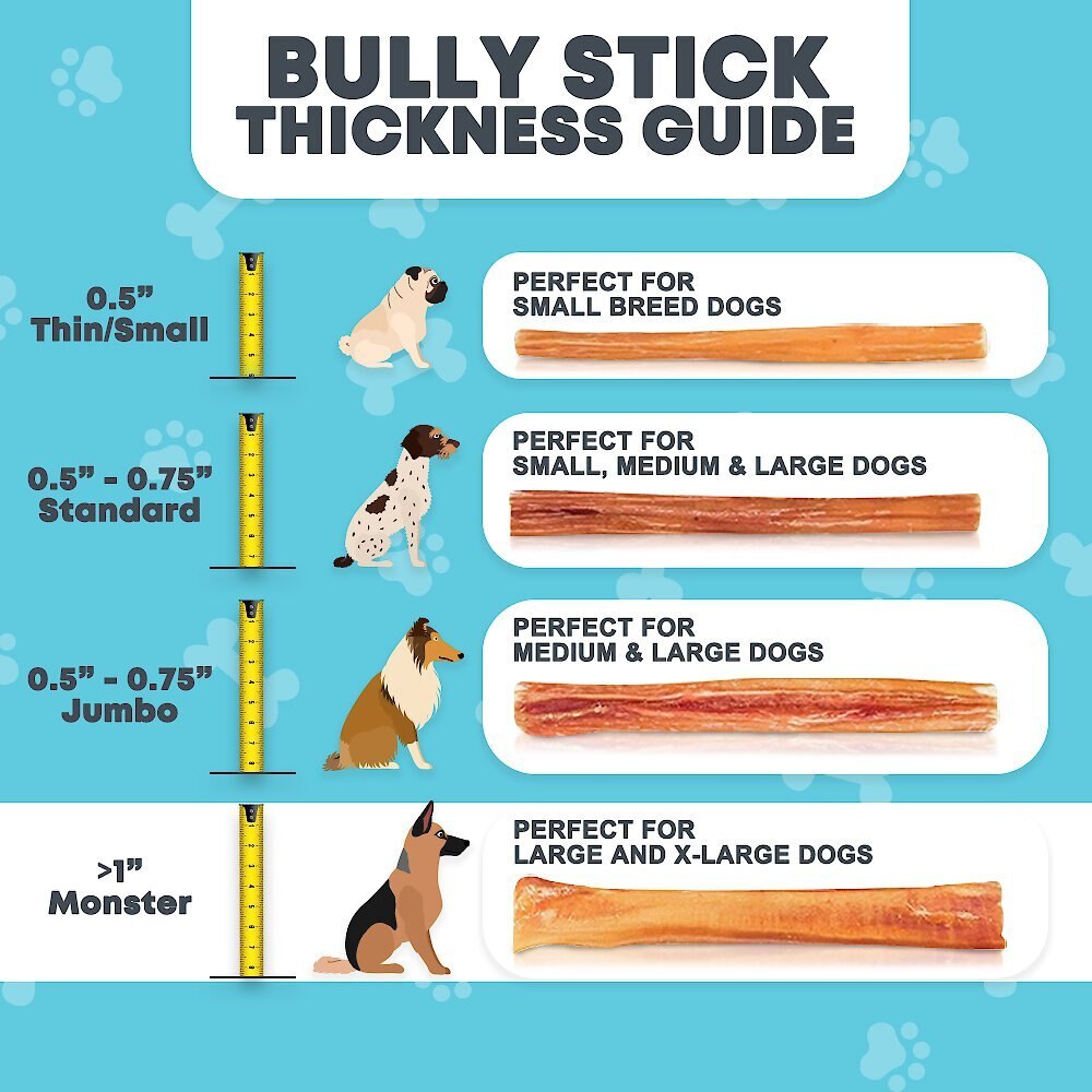 HOTSPOT PETS Monster Premium Bully Sticks Dog Treats， 6-in