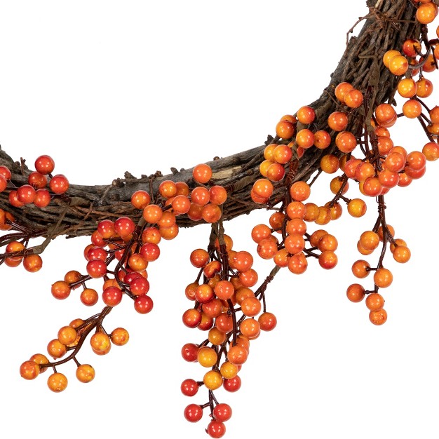 Northlight Red And Orange Artificial Berry Artificial Thanksgiving Wreath 18 inch Unlit