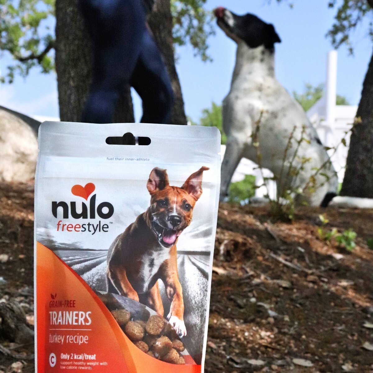 Nulo FreeStyle Trainers Grain-Free Turkey Dog Treats， 16-oz bag