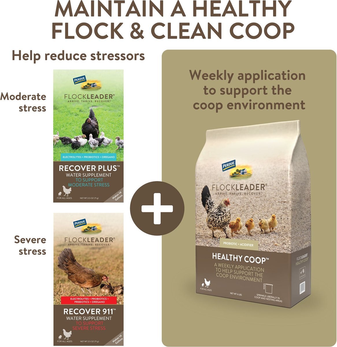 FlockLeader Recover Plus Poultry Supplement， 8-oz bag