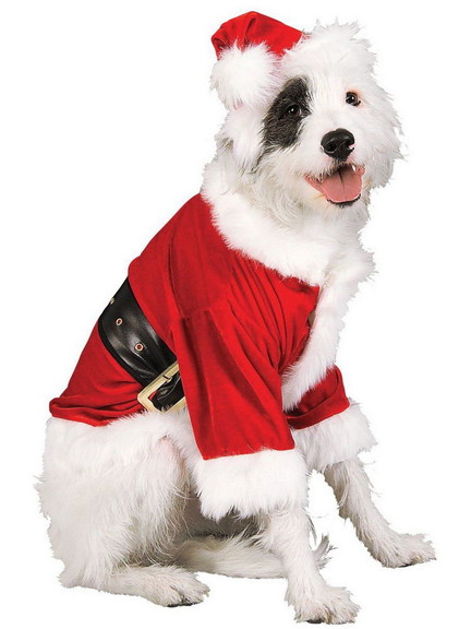Ruby Slipper Sales 406133 Pet Santa Claus Costume ...