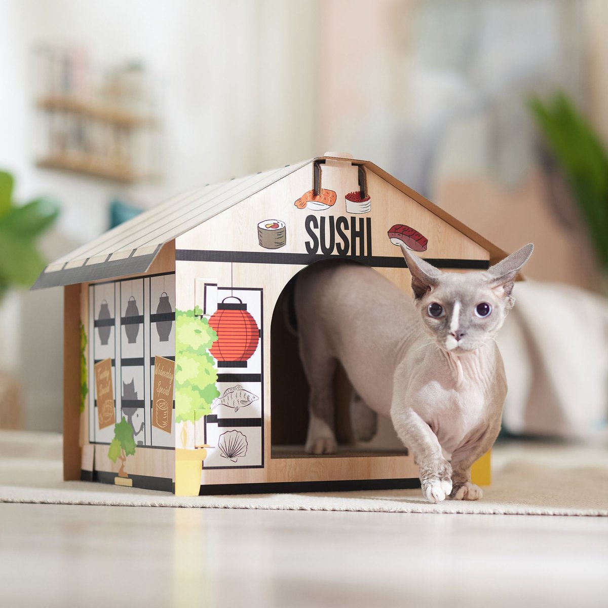 Frisco Sushi Shop Cardboard Cat House