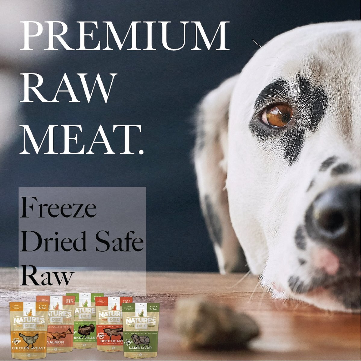 Nature's Diet Beef Heart Raw Freeze-Dried Dog Treats， 4-oz pouch