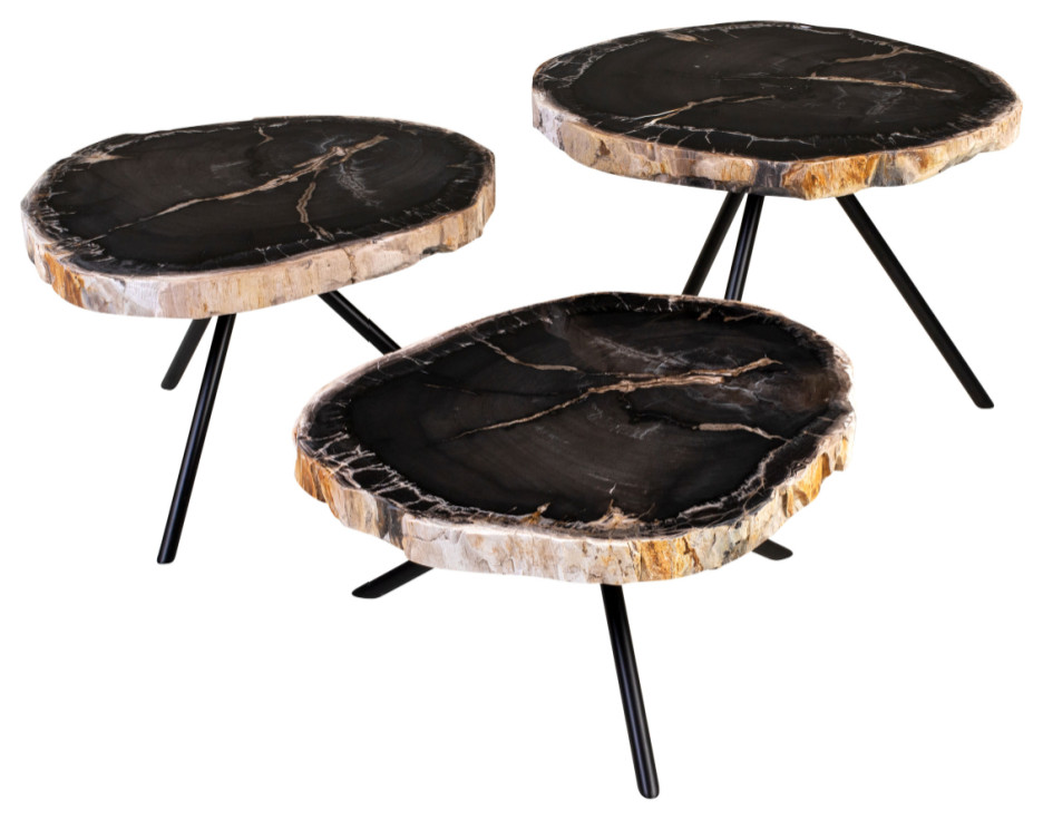 Petrified Wood Coffee Table Set  3 Piece Set  Versmissen   Contemporary   Coffee Table Sets   by Oroa   Distinctive Furniture  Houzz