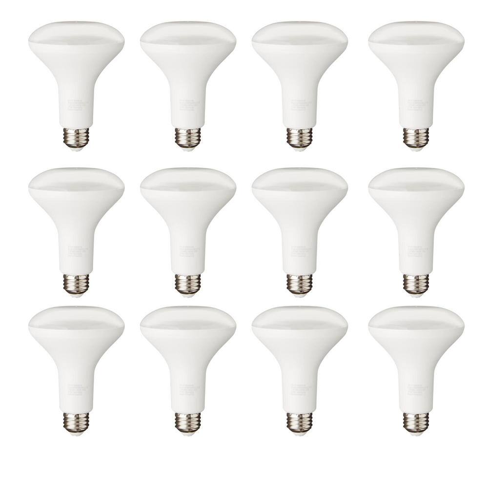 PRIVATE BRAND UNBRANDED 65-Watt Equivalent BR30 Dimmable Flood LED Light Bulb Soft White (12-Pack) A20BR3065WULD12