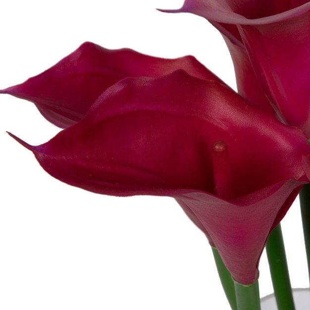 Purple Calla Lillies In Glass Vase.