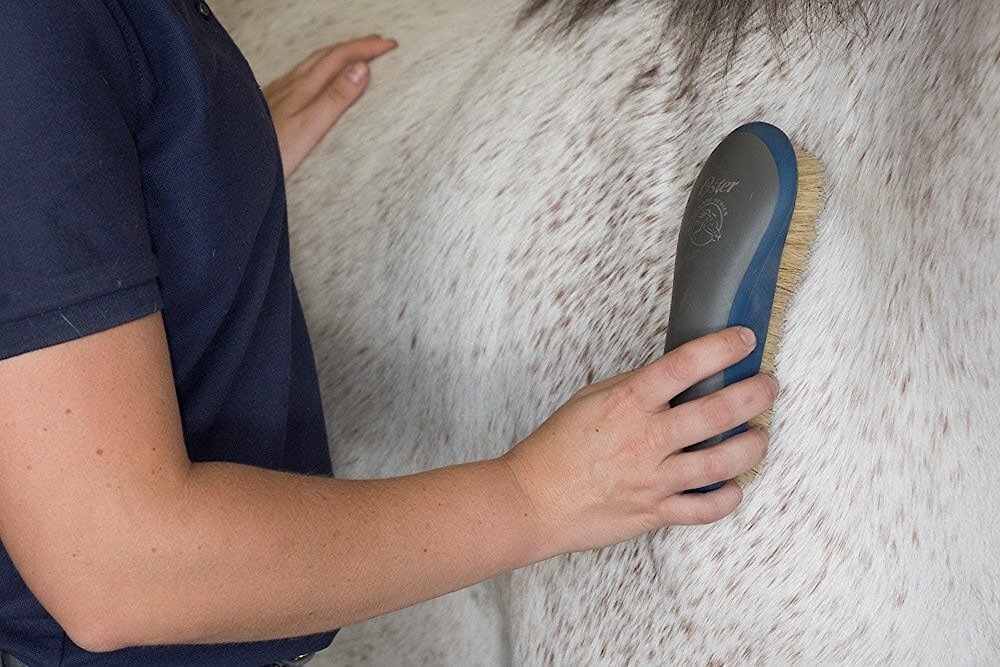 Oster Equine Care Soft Grooming Horse Brush