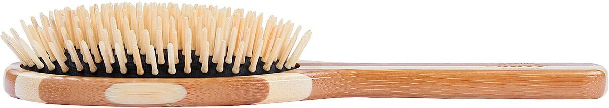 Bass Brushes The Green Dog and Cat Oval Brush， Bamboo-Stiped Finish， Small