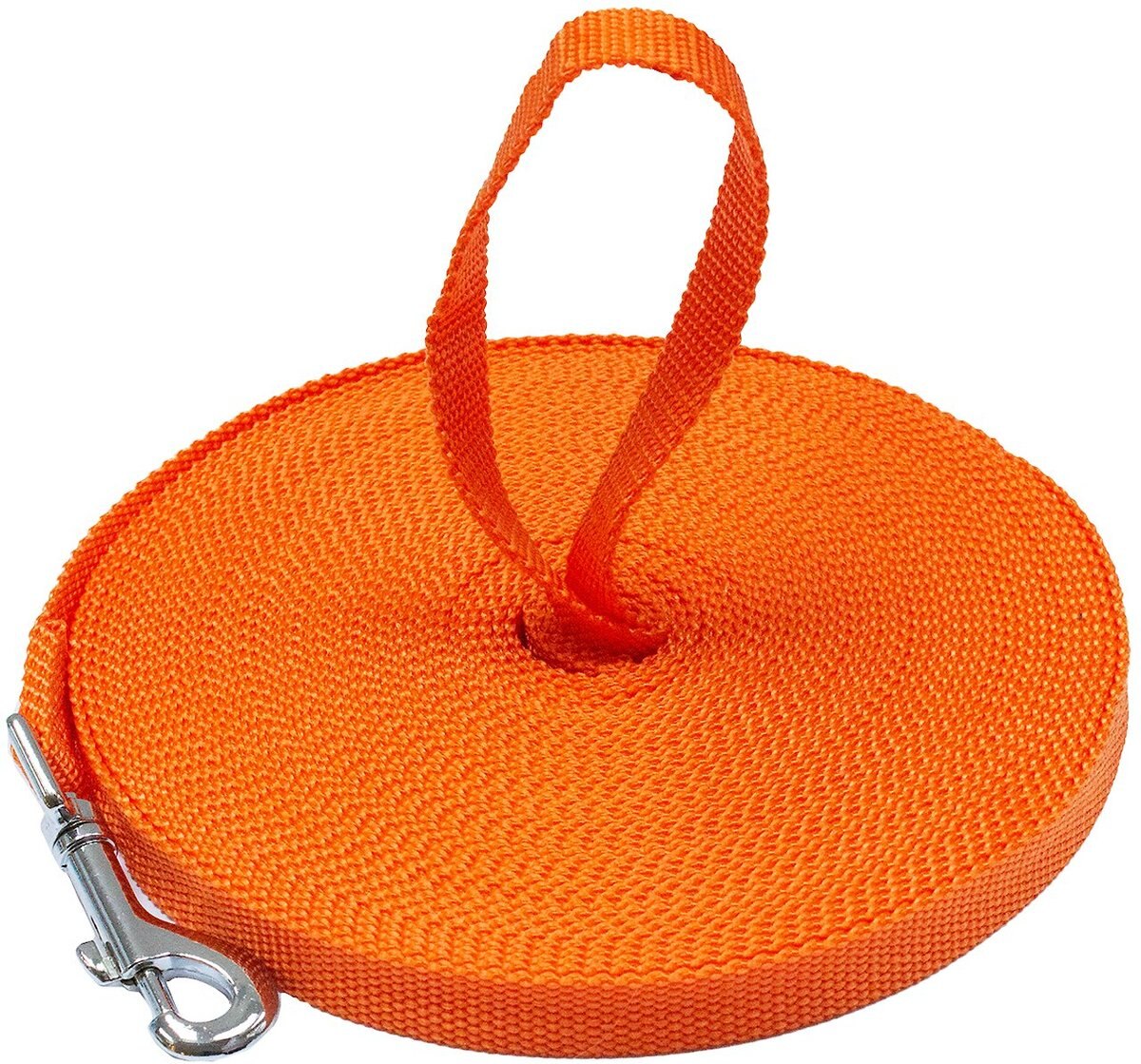 Downtown Pet Supply Training Dog Lead