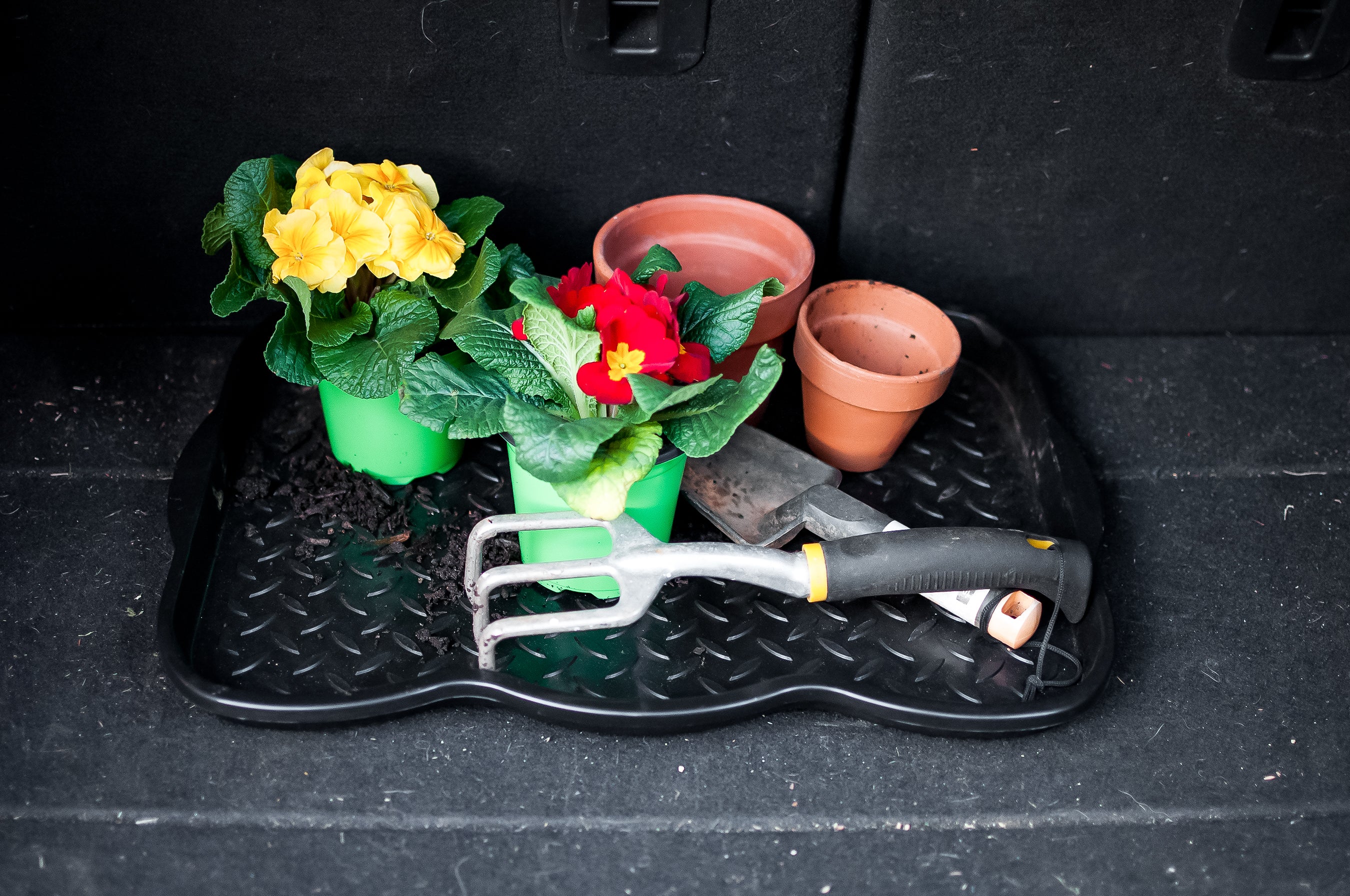 Multi-purpose Shoe Tray - Small (E/F)