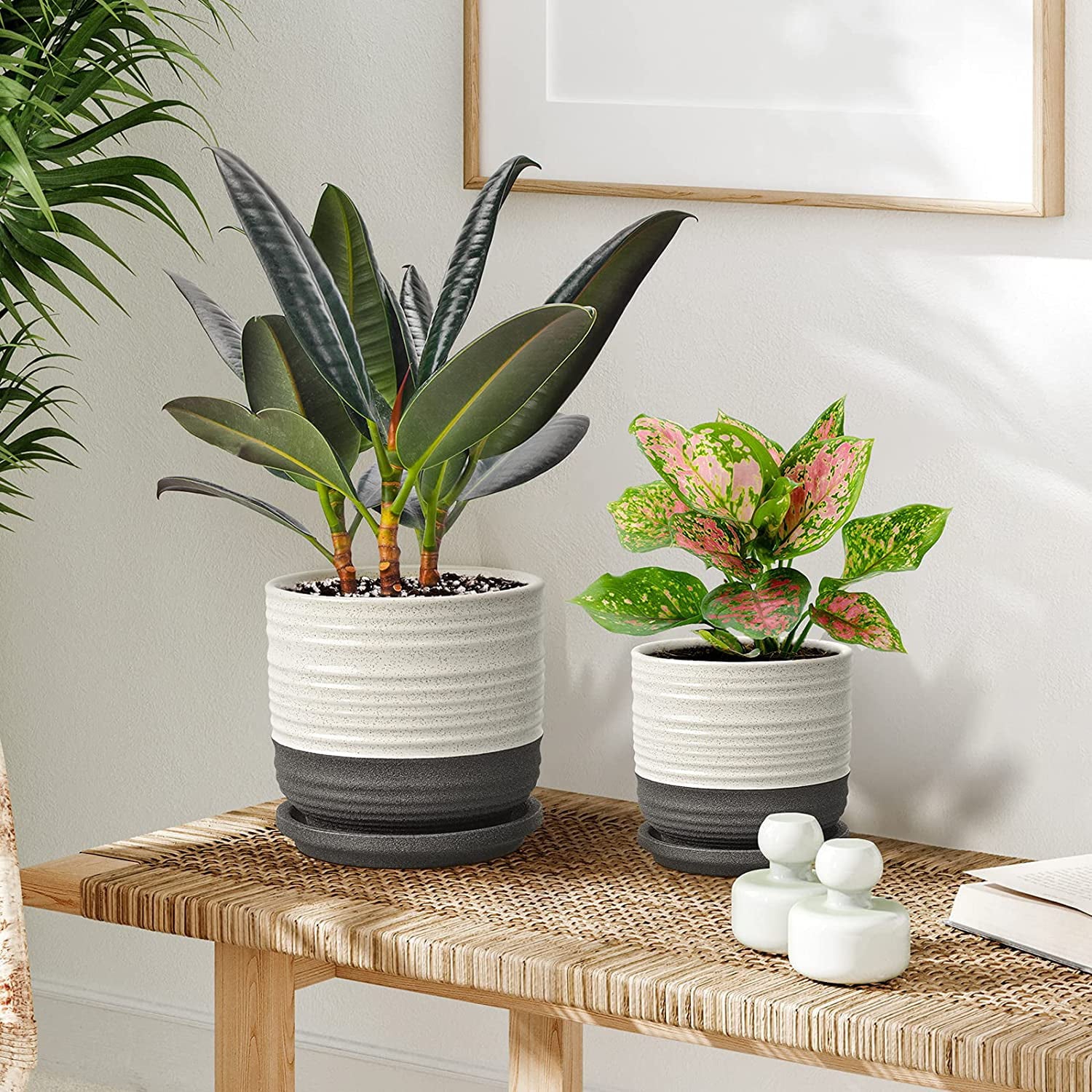 2 Plant Pots, 6 Inch + 4.75 Inch Ceramic Planters Pots with Drainage Hole and Saucers for Succulents Cactus Herbs Aloe Bamboo Plants Indoor