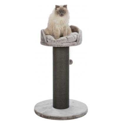 Pepino Scratching Post