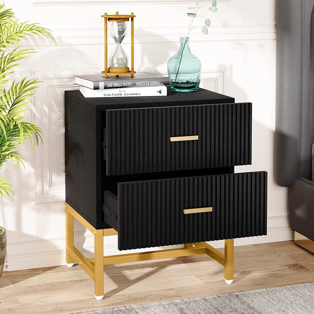 Nightstand 2 Drawer  Bed Side Table with Storage Cabinet End Table