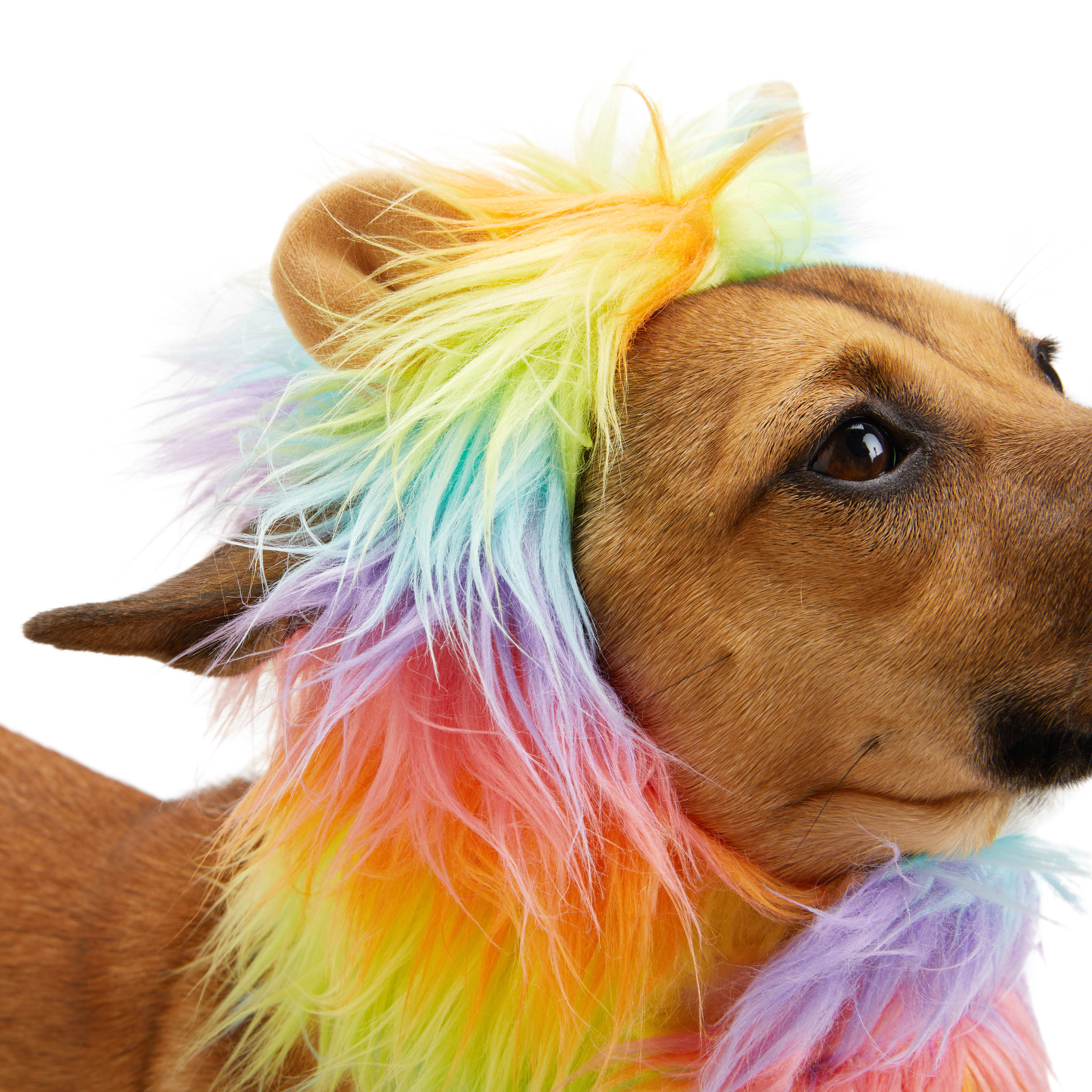 YOULY Pride Rainbow Lion Mane Dog Headpiece， X-Small/Small