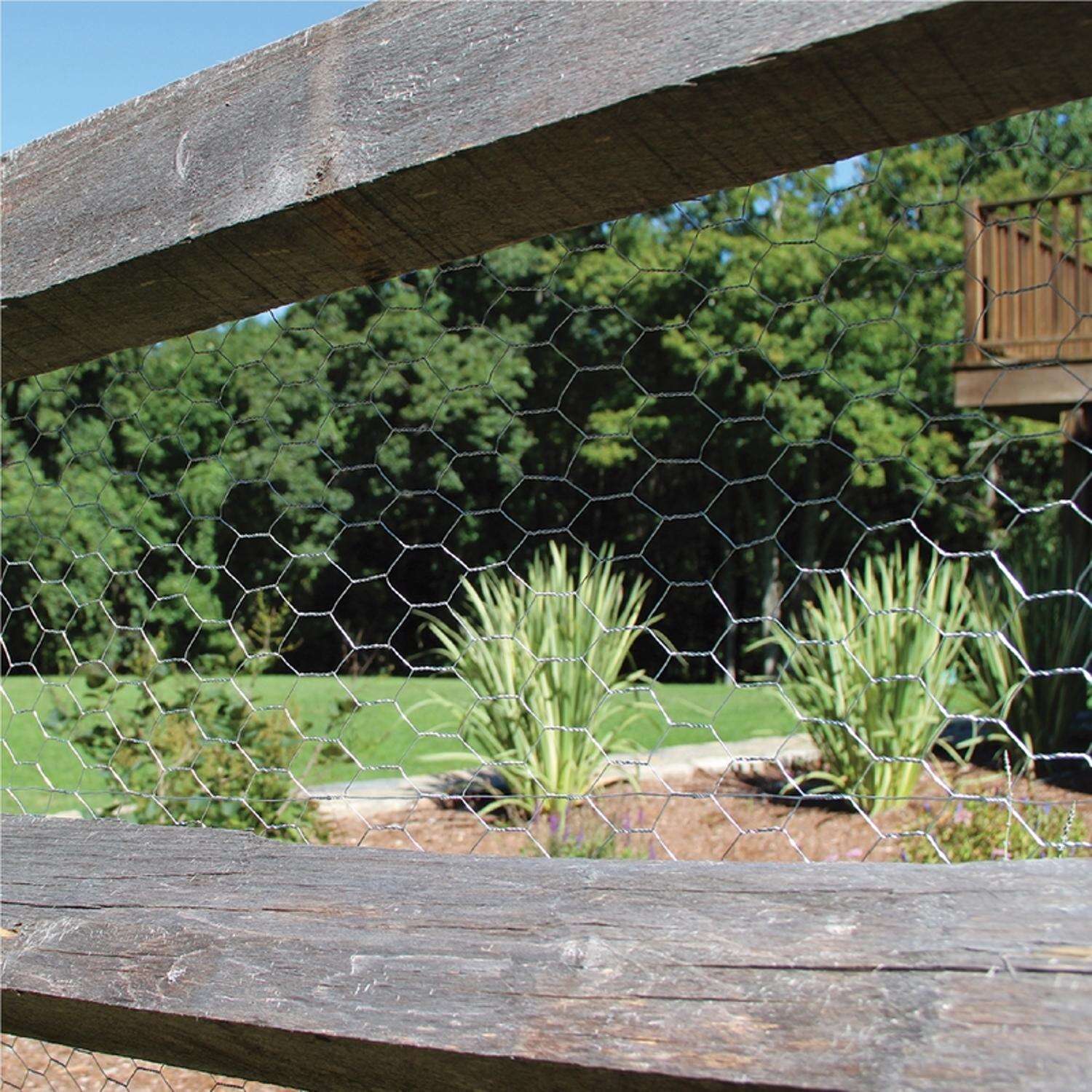 Garden Craft 24 in. H X 50 ft. L Galvanized Steel Poultry Netting 1 in.