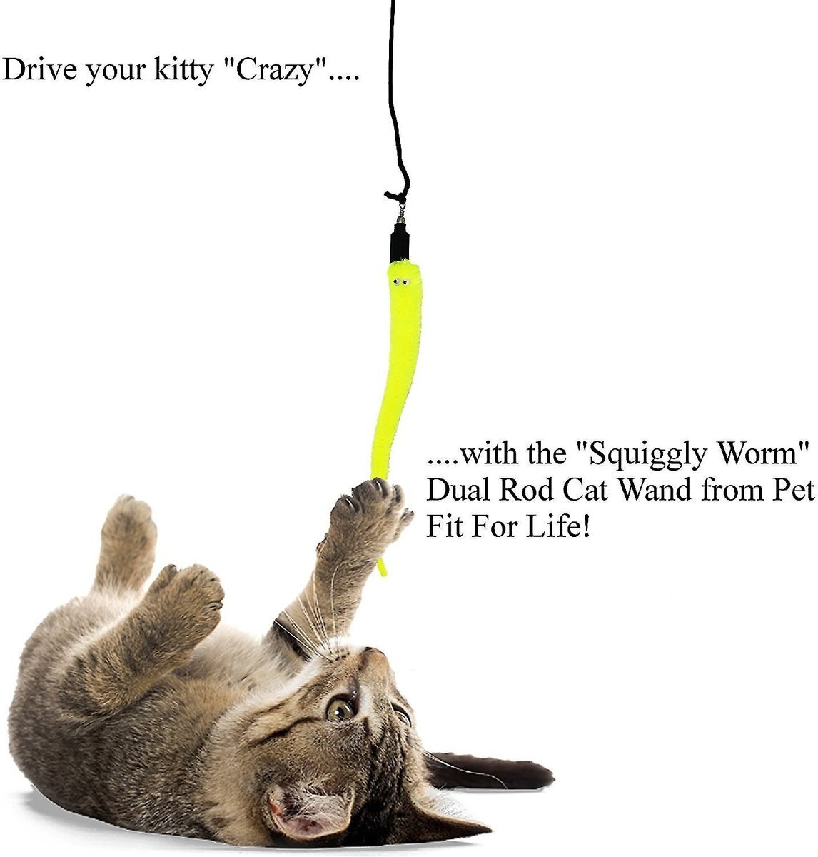 Pet Fit For Life 5 Piece Squiggly Worm Wand Cat Toy