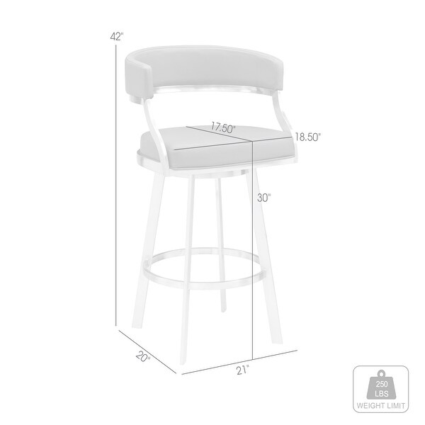 Dione Counter/Bar Height Swivel Faux Leather and Brushed Stainless Steel Bar Stool - N/A