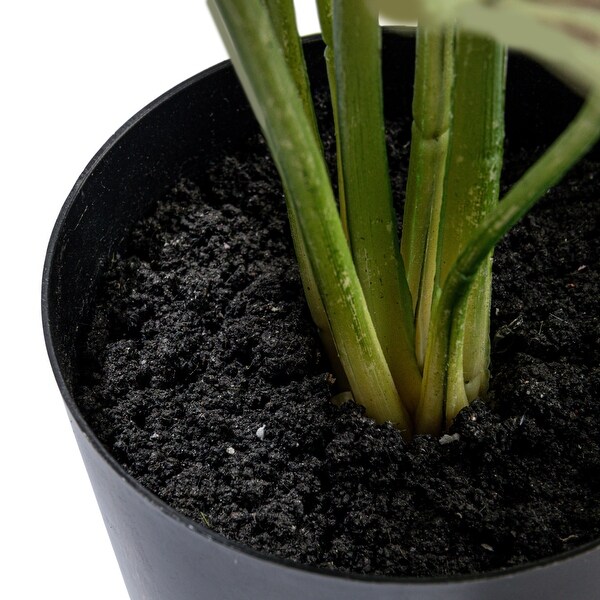 Faux Elephant Ear Plant in Plastic Pot