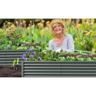 Cesicia Outdoor 8 ft. x 4 ft. x 1.5 ft Rectangular Metal Galvanized Raised Garden Bed in Gray For Vegetables and Flowers VJ043Plant7