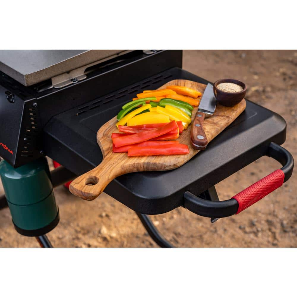 Nexgrill Daytona 2-Burner 21 in. Propane Gas Griddle with Foldable Cart in Black 720-1075B