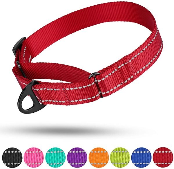 CollarDirect Reflective Martingale Nylon Dog Collar