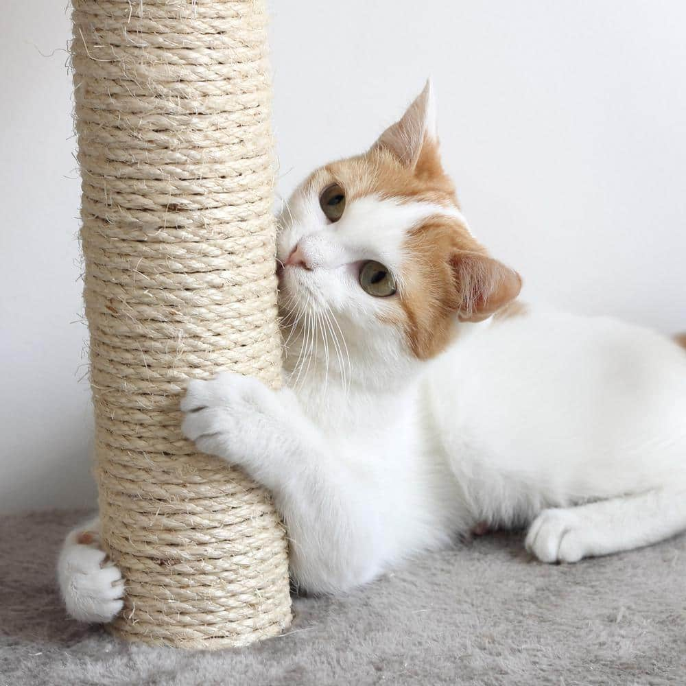 Petmaker Tan and Cream 3 Pole Cat Scratching Post with Perch HW3210072